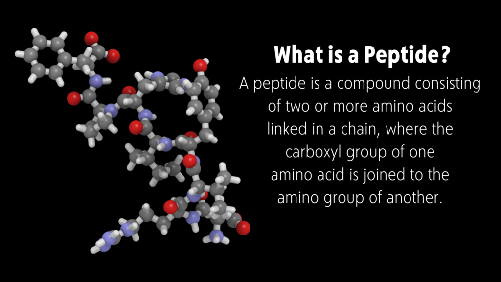 What is a peptide?