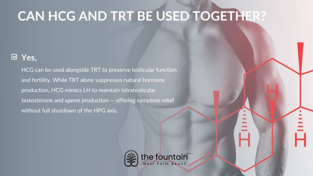 Can HCG and TRT Be Used Together